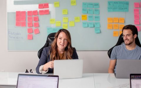 best online courses